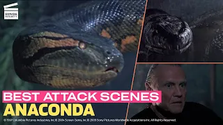 Best Attack Scenes from the Anaconda Movies (Top 10)