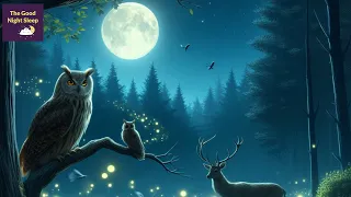 Nature's Sounds of Midnight | Calming Sounds of Nature to Fall Asleep to | 1 Hour Loop | #relaxing 🦉