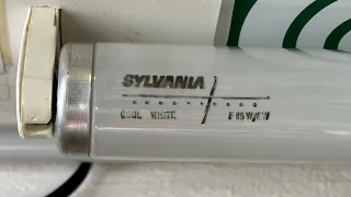 Sylvania F85W/CW 85W T12 1.5m fluorescent tube