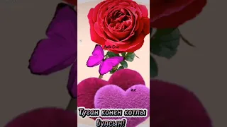 Туган конен котлы булсын! 💐💐💐