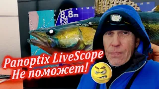 Panoptix LiveScope тут НЕ ПОМОЖЕТ. Рыбалка в ноябре 2023