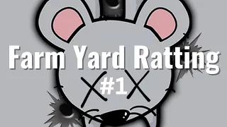 Farm Yard Ratting 1