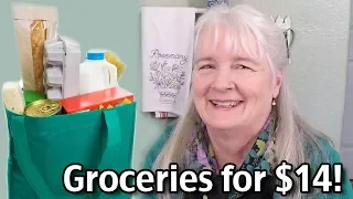 Groceries for $14 - Living On Social Security