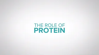 The role of protein in dairy cow nutrition