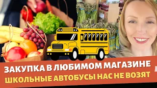 Закупка продуктов в Felipe’s market / Школьные автобусы нас не возят / Влог США