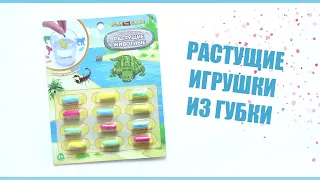 Игровой набор "Растущие животные", Play the Game из Фикс Прайс | Игрушка из губки за 55 рублей