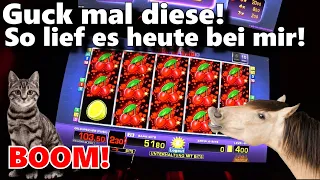 4 € fach Spielothek von Pferden 🐎 & Katzen 🐈 2021 Merkur Novoline Spielautomaten Casino slots Bally