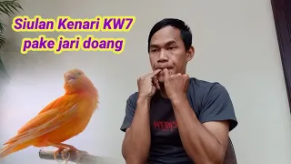 Suara Burung Kenari KW 7 dari jari kelingking @jari gacor