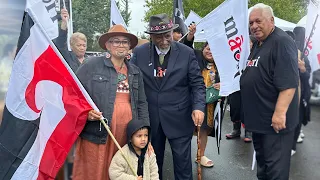 Natasha Kemp Māori Party candidate for Tāmaki Makaurau