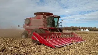 Corn Harvest South Dakota (2016)