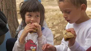 סדר יום בגן יער