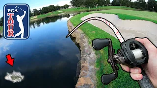 Bass fishing a PGA TOUR golf course pond!!! (IT'S LOADED)