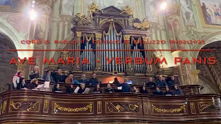 Ave Maria (Verbum Panis) - il coro Giovanni Paolo II di Cervignasco canta nel Duomo di Saluzzo (CN)