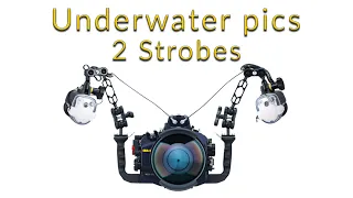 How to make great underwater photos with 2 strobes