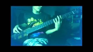 A Little Piece Of Heaven - A7X [Bass Cover  by Dew]