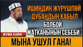 ИШИҢ ЖҮРҮШПӨЙ, ДУБАҢ КАБЫЛ БОЛБОЙ ЖАТКАНЫНЫН СЕБЕБИ // Нурулло устаз