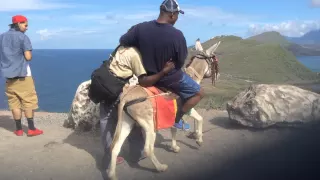 Man riding a donkey