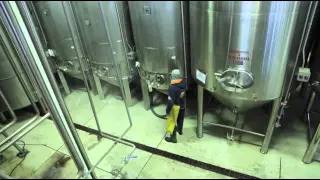 Fermentation - The Art of Brewing Documentary - Cool Beer Brewing Co.