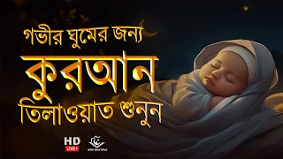 প্রশান্তিময় ঘুমের জন্য সুন্দর কুরআন তেলাওয়াত । BEAUTIFUL QURAN RECITATION | For Relaxing Sleep