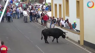 Tourada à corda - Santa Bárbara - CAJAF e ER - 06.07.2019