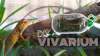 MAKE A "DIY VIVARIUM FOR MY LIZARD" | USING PLASTIC CONTAINER