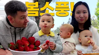 🌸한국에서의 봄🌸과 우리가족 | 봄소풍 간 미군가족 | 딸기농장, 평택 소풍