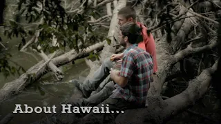 About Hawaii (2013)