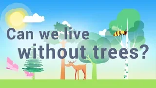 CAN WE LIVE WITHOUT TREES ? - UK | Best educational video (all ages)