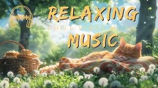 【Picnic Light Music Moments】: Picnic in the company of cat | 2 Hours of Pure, Ad-Free Music