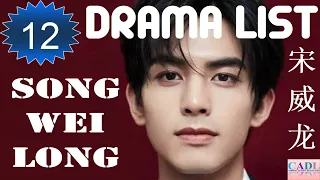 宋威龙 Song Wei Long | Drama List | Song Weilong 's all 12 dramas | CADL