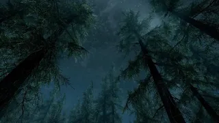 "Безумцы" Предела - аудиокнига Skyrim