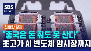 "중국은 돈 줘도 못 산다"…초고가 AI 반도체 암시장까지 / SBS / 친절한경제