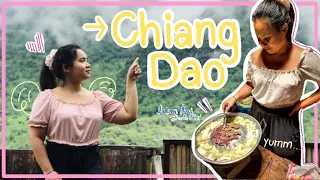 Learn Thai in Chiang Dao