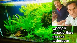 Planted aquarium | natural aquarium |aqua scape in Malayalam | planted aquarium settings seeds