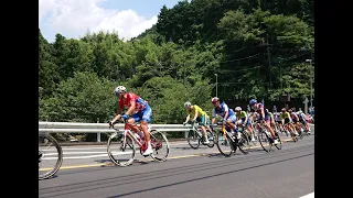 東京オリンピック　男子ロードレース（大集団）