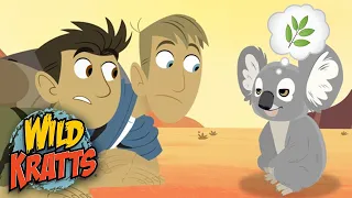 Wild Kratts 🐨 Facts On Australian KOALAS! | Kids Videos