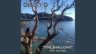 The Shallows (feat. Gary Bird)