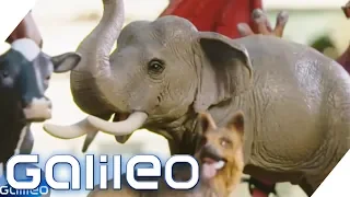 Das Geheimnis hinter den Schleich-Figuren | Galileo | ProSieben