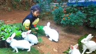Cute rabbit❤️ My rabbit is very happy playing freely while looking for his own food
