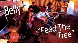 Belly plays "Feed The Tree"