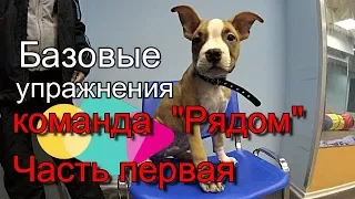 Команда "Рядом". Базовые упражнения. Часть первая