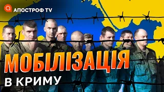 СИТУАЦІЯ В КРИМУ: на півострові побільшало свіжих могил з цієї війни // Тільненко