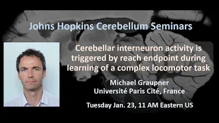 Michael Graupner: Cerebellar interneuron activity is triggered by reach endpoint
