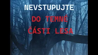 CREEPYPASTA: NEVSTUPUJTE DO TEMNÉ ČÁSTI LESA (CZ, SK)