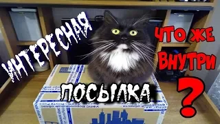 Интересная посылка-Что же внутри?