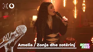 Besa Kokëdhima - Amelia & Zonja dhe zotërinj | A•Live•Night - 4K