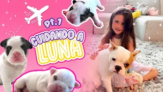 Fui mama de unos cachorros en mis vacaciones - Jugando con Saritah Bebe - PARTE 1