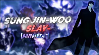 Sung Jin-Woo × Slay (etenxlkz) [Amv/Edit]