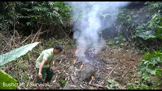 Survival instinct Building Life - How To Grow Vegetables In The Forrest - Bushcraft Alone Every Day