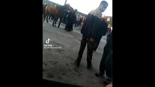Нападение лошади на человека в Кыргызстане!
